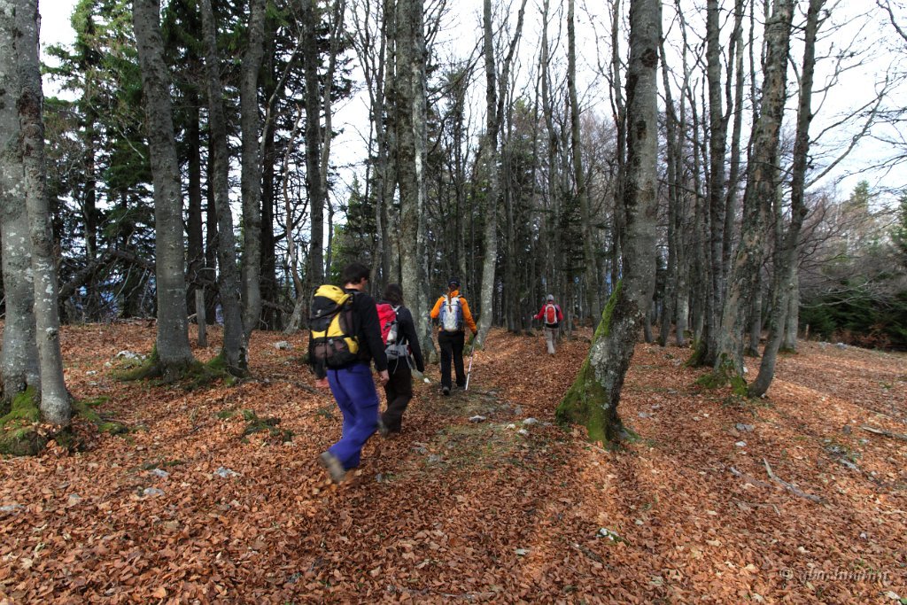 20101030_220